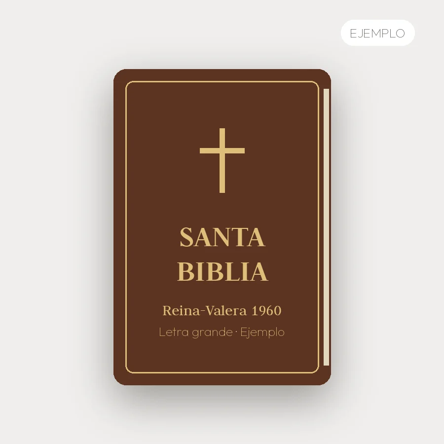 Imagen de ejemplo: Biblia Reina-Valera 1960 Letra Grande – ejemplo